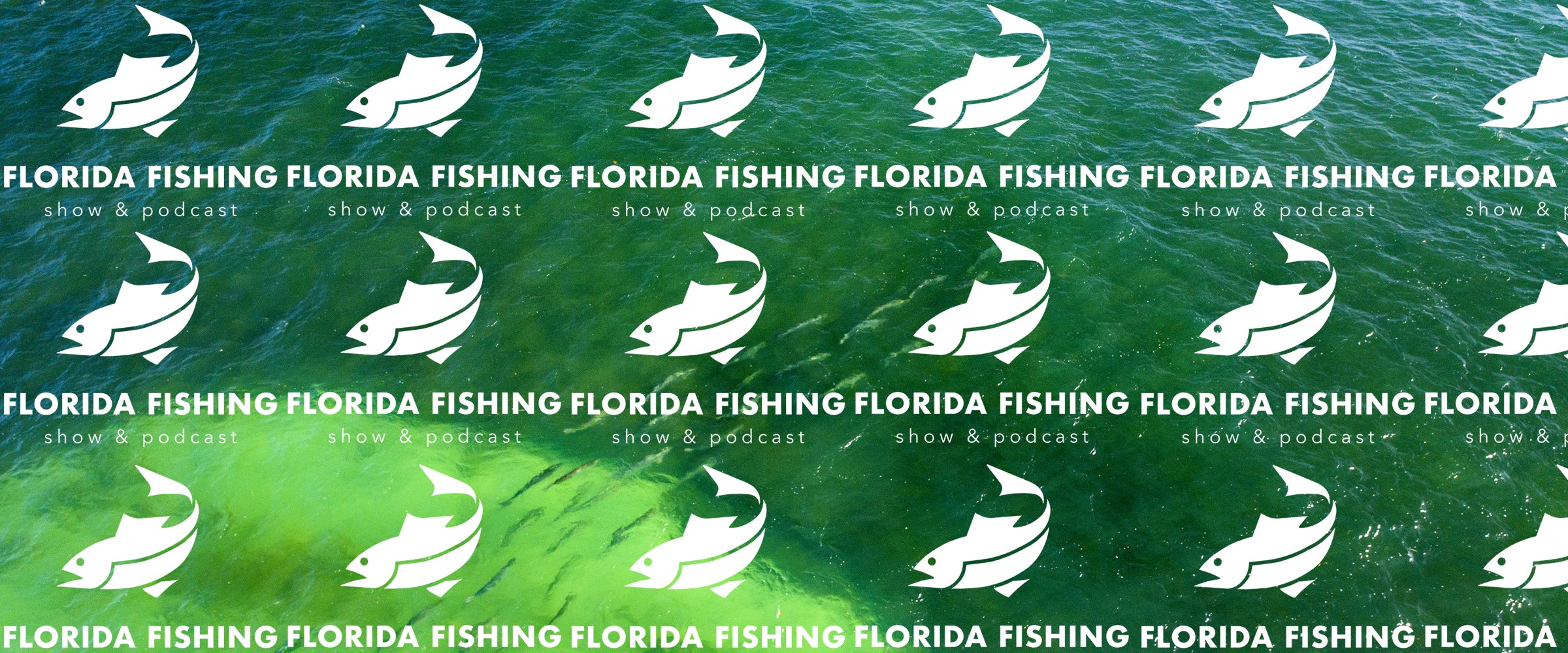 5 Things We Spent More Money On Than Our Salaries Florida Fishing
