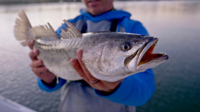 Epic Redfish and Gator Trout Fishing w/ 1Fish2Fish