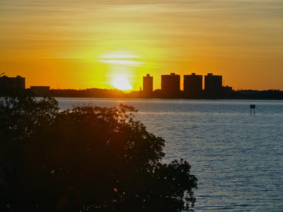 Caloosahatchee River Revival