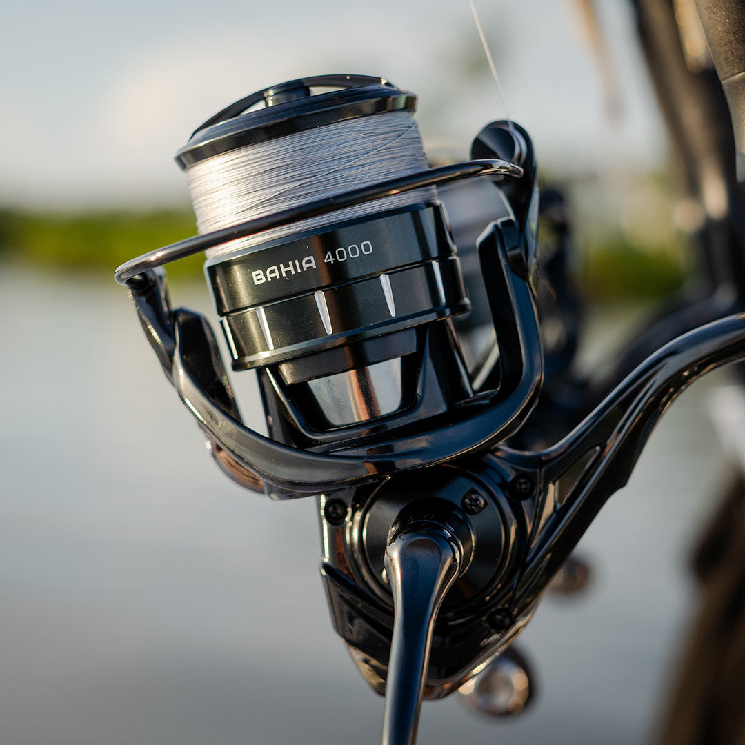 Bahia Saltwater Spinning Reel