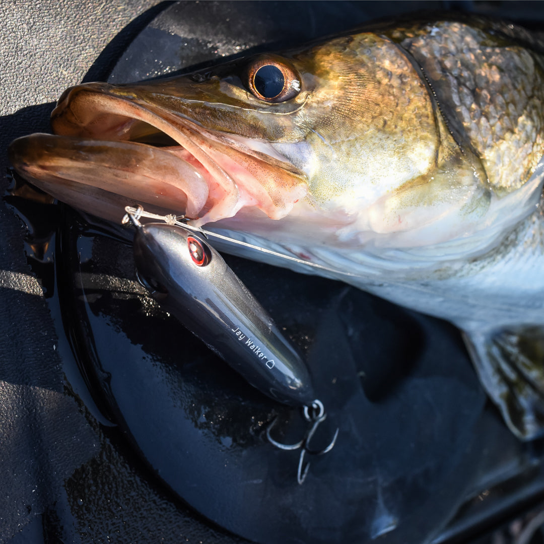 best lures for florida saltwater fishing Top Walker
